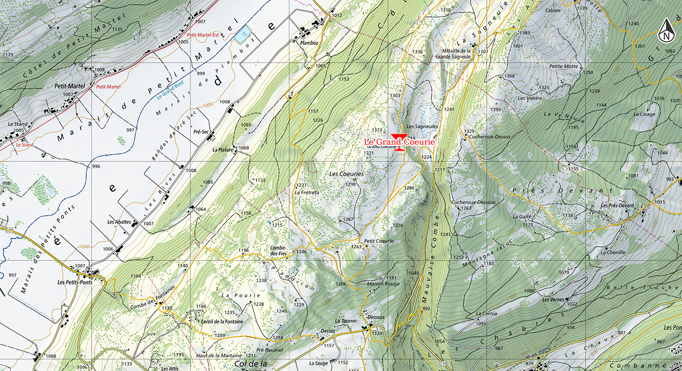 swiss topo
